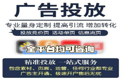某公司网站sem托管项目纪实